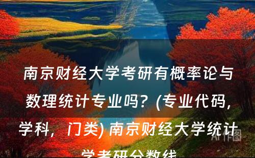 南京财经大学考研有概率论与数理统计专业吗？(专业代码，学科，门类) 南京财经大学统计学考研分数线