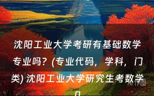 沈阳工业大学考研有基础数学专业吗？(专业代码，学科，门类) 沈阳工业大学研究生考数学几