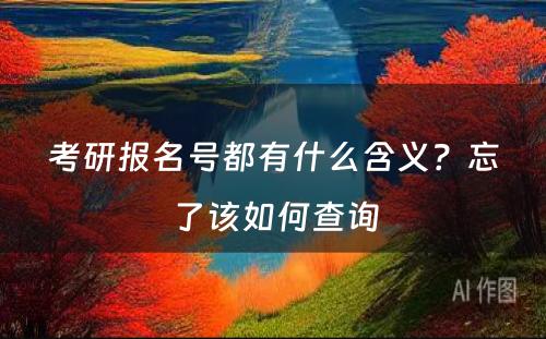 考研报名号都有什么含义？忘了该如何查询