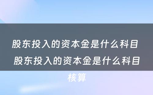 股东投入的资本金是什么科目 股东投入的资本金是什么科目核算