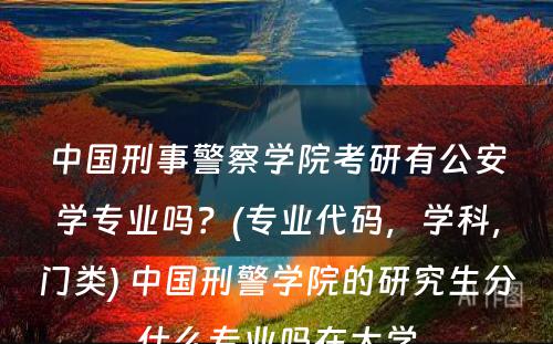 中国刑事警察学院考研有公安学专业吗？(专业代码，学科，门类) 中国刑警学院的研究生分什么专业吗在大学