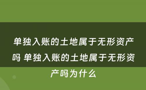 单独入账的土地属于无形资产吗 单独入账的土地属于无形资产吗为什么