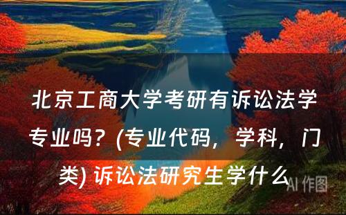 北京工商大学考研有诉讼法学专业吗？(专业代码，学科，门类) 诉讼法研究生学什么