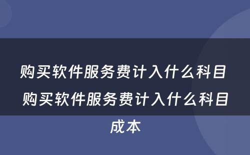 购买软件服务费计入什么科目 购买软件服务费计入什么科目成本