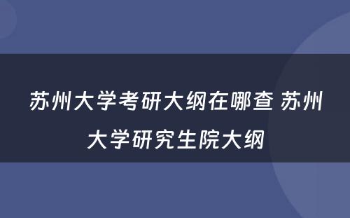 苏州大学考研大纲在哪查 苏州大学研究生院大纲