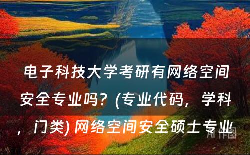 电子科技大学考研有网络空间安全专业吗？(专业代码，学科，门类) 网络空间安全硕士专业