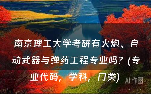 南京理工大学考研有火炮、自动武器与弹药工程专业吗？(专业代码，学科，门类) 