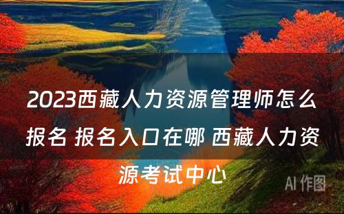 2023西藏人力资源管理师怎么报名 报名入口在哪 西藏人力资源考试中心