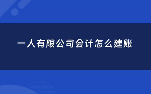 一人有限公司会计怎么建账 