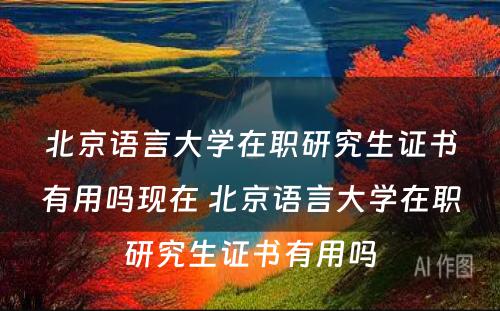 北京语言大学在职研究生证书有用吗现在 北京语言大学在职研究生证书有用吗
