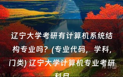 辽宁大学考研有计算机系统结构专业吗？(专业代码，学科，门类) 辽宁大学计算机专业考研科目