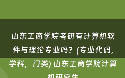 山东工商学院考研有计算机软件与理论专业吗？(专业代码，学科，门类) 山东工商学院计算机研究生