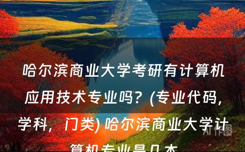 哈尔滨商业大学考研有计算机应用技术专业吗？(专业代码，学科，门类) 哈尔滨商业大学计算机专业是几本