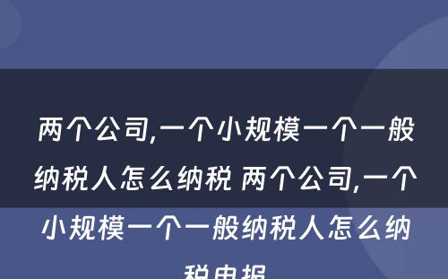 两个公司,一个小规模一个一般纳税人怎么纳税 两个公司,一个小规模一个一般纳税人怎么纳税申报