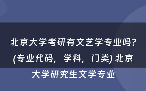 北京大学考研有文艺学专业吗？(专业代码，学科，门类) 北京大学研究生文学专业