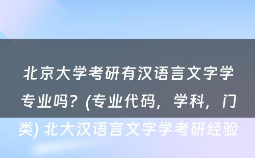 北京大学考研有汉语言文字学专业吗？(专业代码，学科，门类) 北大汉语言文字学考研经验