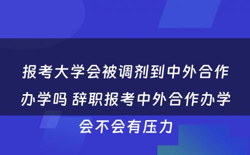 报考大学会被调剂到中外合作办学吗 辞职报考中外合作办学会不会有压力