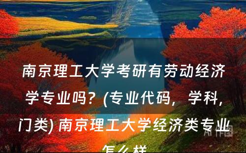 南京理工大学考研有劳动经济学专业吗？(专业代码，学科，门类) 南京理工大学经济类专业怎么样