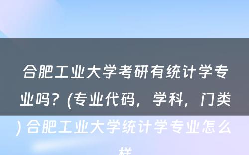 合肥工业大学考研有统计学专业吗？(专业代码，学科，门类) 合肥工业大学统计学专业怎么样