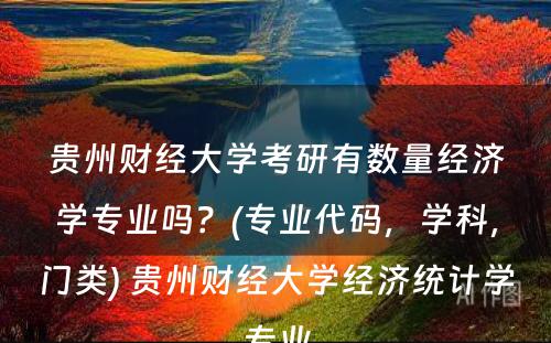 贵州财经大学考研有数量经济学专业吗？(专业代码，学科，门类) 贵州财经大学经济统计学专业