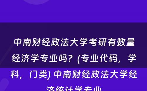 中南财经政法大学考研有数量经济学专业吗？(专业代码，学科，门类) 中南财经政法大学经济统计学专业