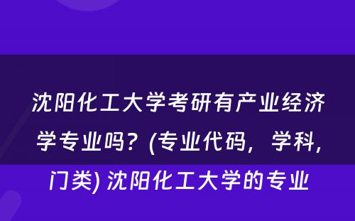 沈阳化工大学考研有产业经济学专业吗？(专业代码，学科，门类) 沈阳化工大学的专业