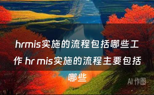 hrmis实施的流程包括哪些工作 hr mis实施的流程主要包括哪些