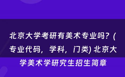 北京大学考研有美术专业吗？(专业代码，学科，门类) 北京大学美术学研究生招生简章