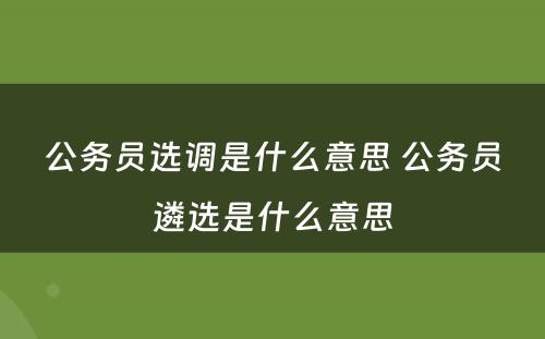 公务员选调是什么意思 公务员遴选是什么意思