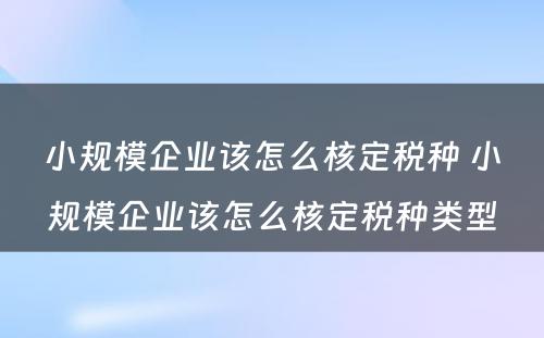 小规模企业该怎么核定税种 小规模企业该怎么核定税种类型