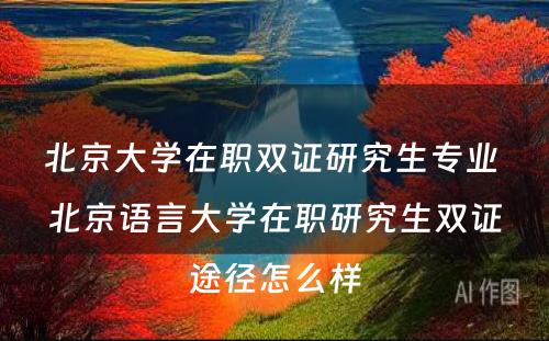 北京大学在职双证研究生专业 北京语言大学在职研究生双证途径怎么样