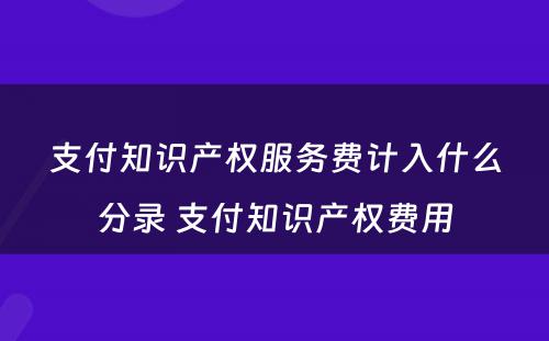 支付知识产权服务费计入什么分录 支付知识产权费用