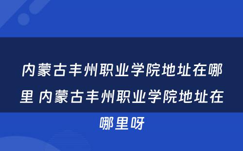 内蒙古丰州职业学院地址在哪里 内蒙古丰州职业学院地址在哪里呀