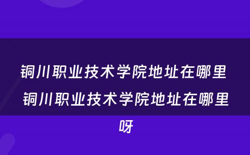 铜川职业技术学院地址在哪里 铜川职业技术学院地址在哪里呀