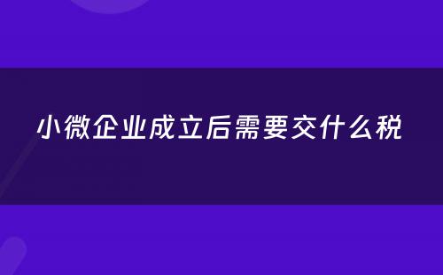 小微企业成立后需要交什么税 