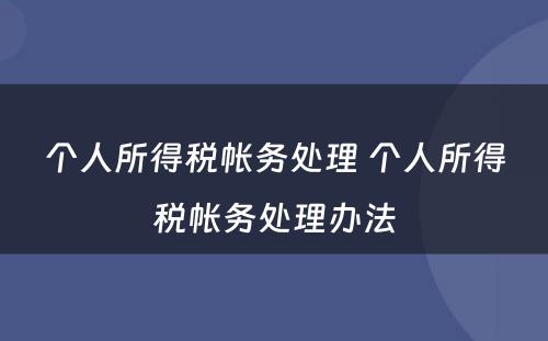个人所得税帐务处理 个人所得税帐务处理办法