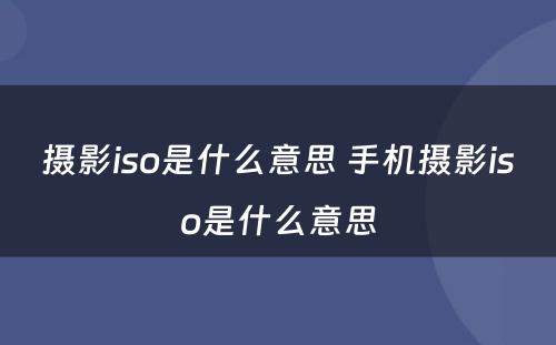 摄影iso是什么意思 手机摄影iso是什么意思