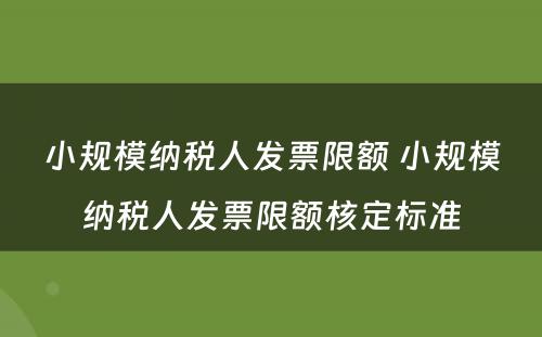 小规模纳税人发票限额 小规模纳税人发票限额核定标准