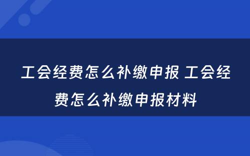 工会经费怎么补缴申报 工会经费怎么补缴申报材料