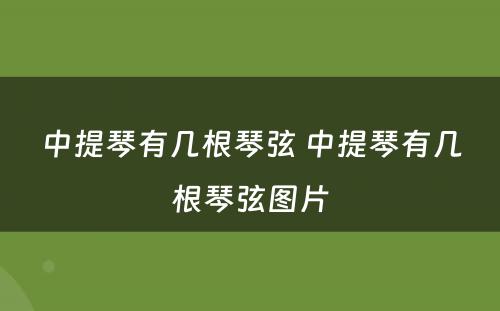 中提琴有几根琴弦 中提琴有几根琴弦图片