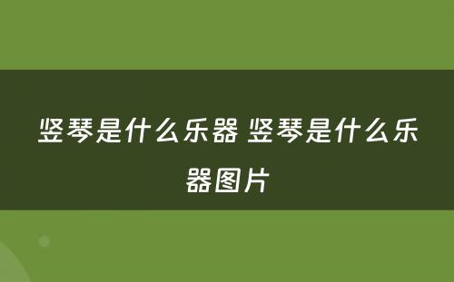 竖琴是什么乐器 竖琴是什么乐器图片