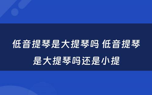 低音提琴是大提琴吗 低音提琴是大提琴吗还是小提