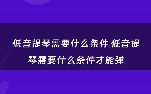 低音提琴需要什么条件 低音提琴需要什么条件才能弹