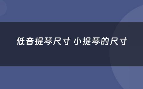 低音提琴尺寸 小提琴的尺寸