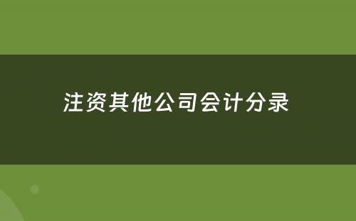 注资其他公司会计分录 