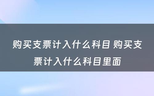 购买支票计入什么科目 购买支票计入什么科目里面