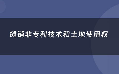 摊销非专利技术和土地使用权 