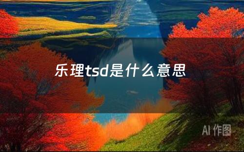 乐理tsd是什么意思 