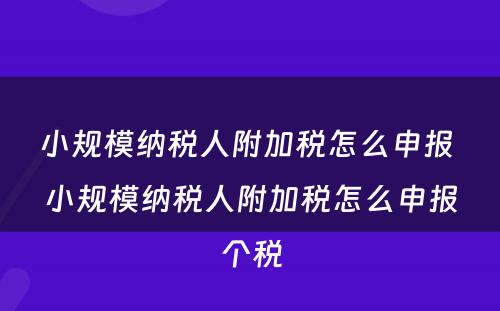 小规模纳税人附加税怎么申报 小规模纳税人附加税怎么申报个税