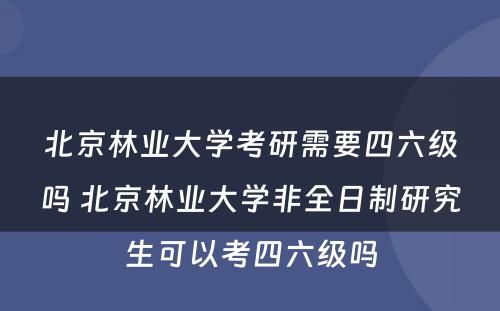 北京林业大学考研需要四六级吗 北京林业大学非全日制研究生可以考四六级吗